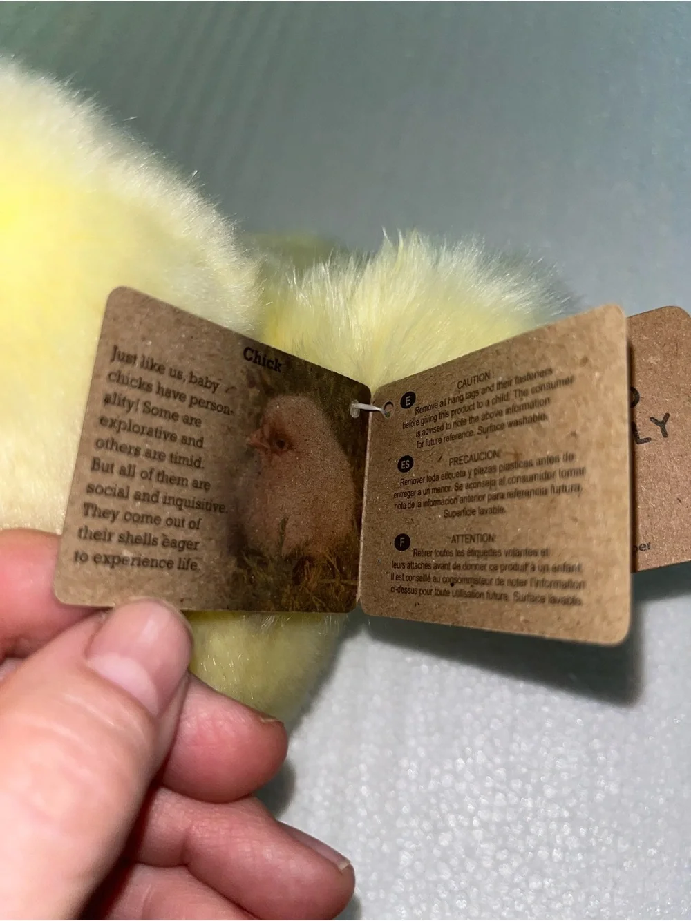Aurora Miyoni Chick 6